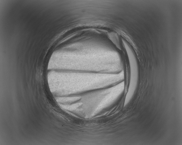 X0000082950483200702222317