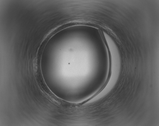 X0000082950484200702222317