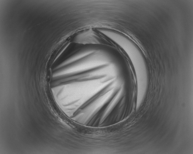 X0000082950485200702222317