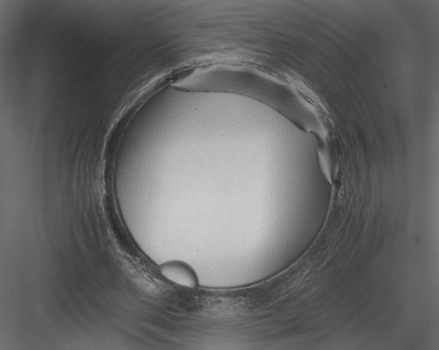 X0000082950486200702222317