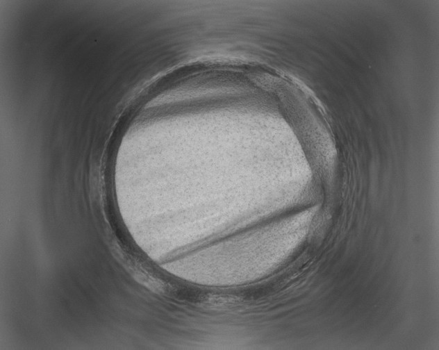 X0000082950487200702222317