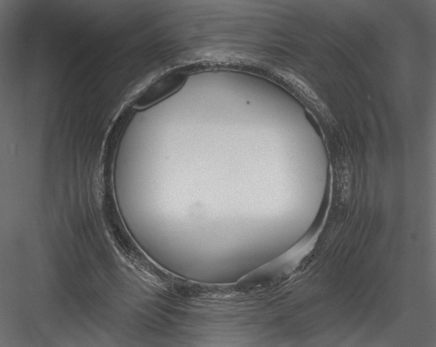 X0000082950488200702222317