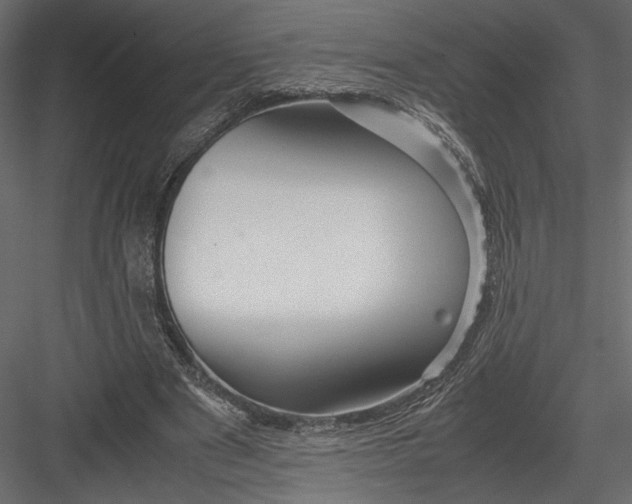 X0000082950489200702222317