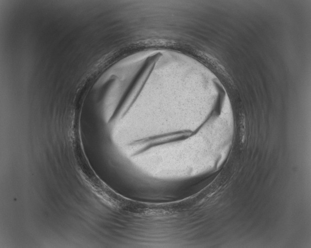 X0000082950490200702222317