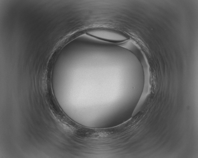 X0000082950492200702222317