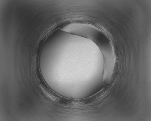 X0000082950493200702222317