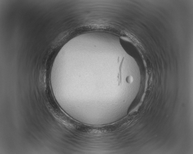 X0000082950494200702222317