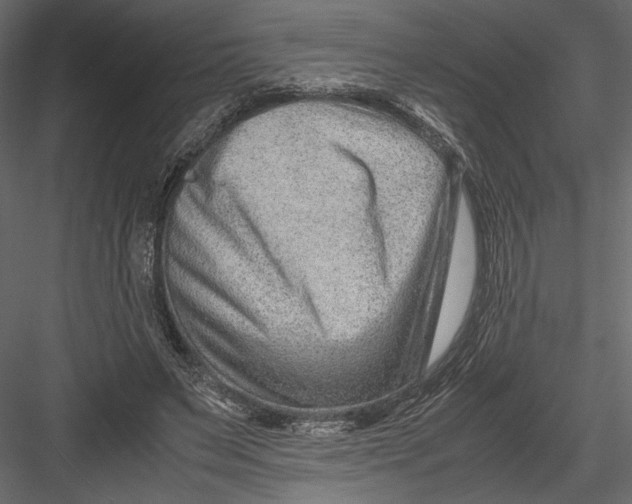 X0000082950495200702222317