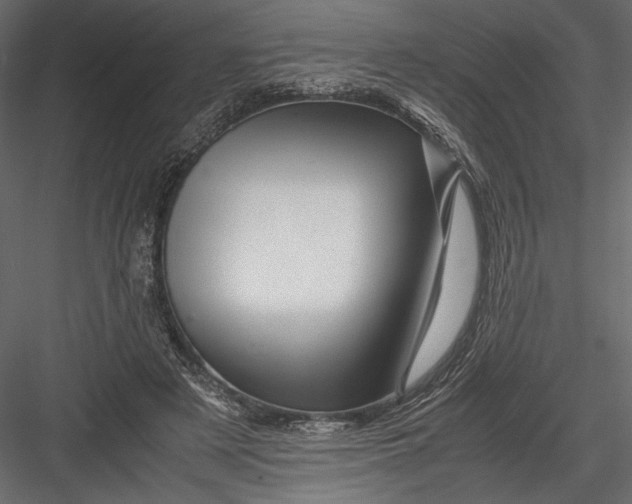 X0000082950497200702222317