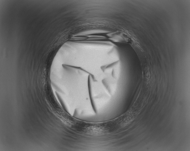 X0000082950498200702222317