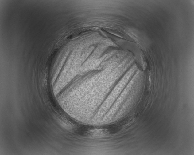 X0000082950499200702222317