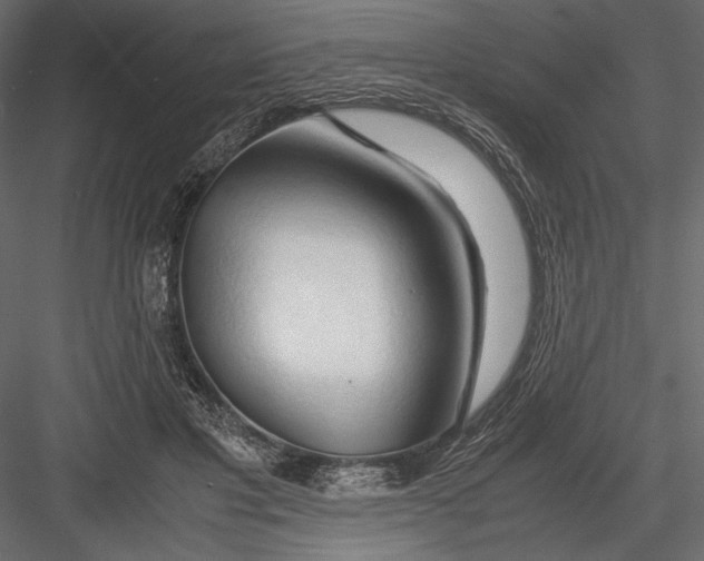 X0000082950501200702222317