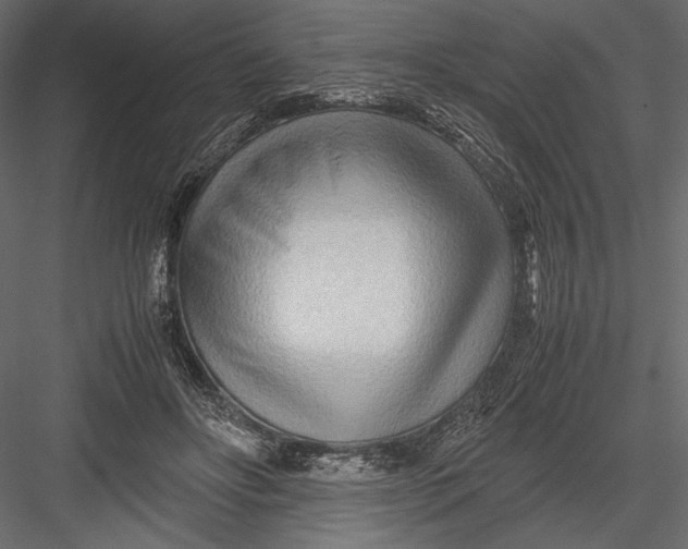 X0000082950502200702222317