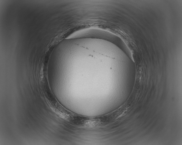 X0000082950504200702222317