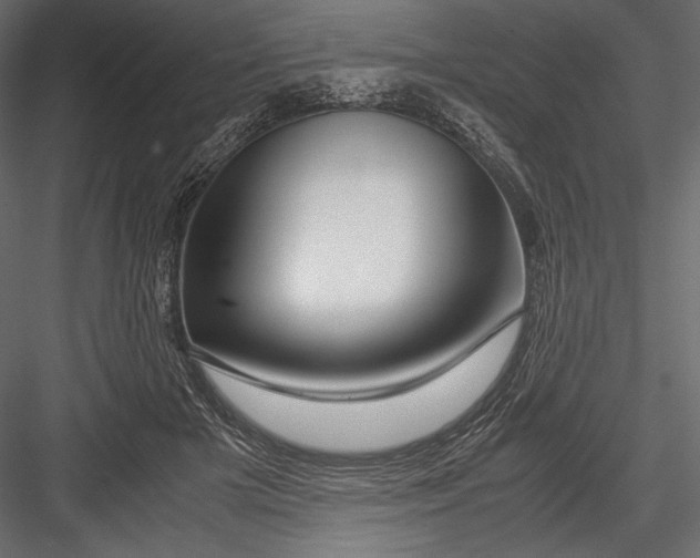 X0000082950505200702222317