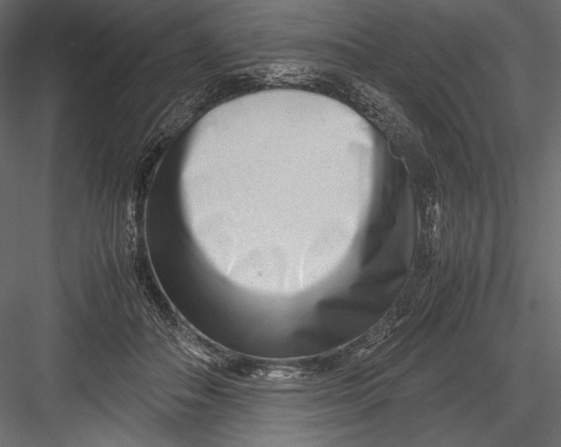 X0000082950506200702222317