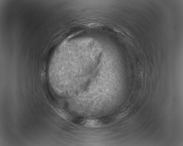 X0000082950507200702222317