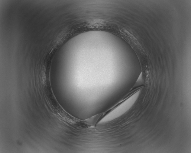 X0000082950508200702222317