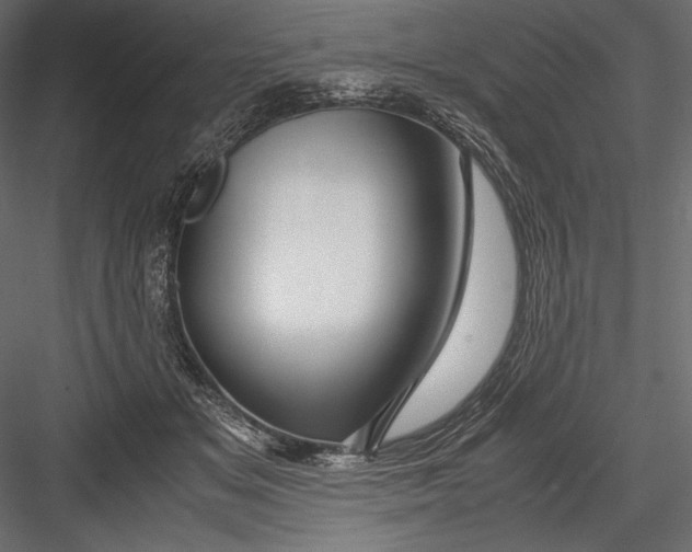 X0000082950509200702222317