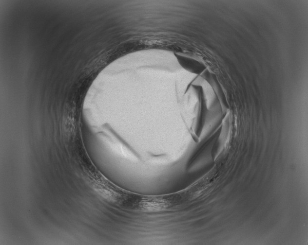 X0000082950510200702222317