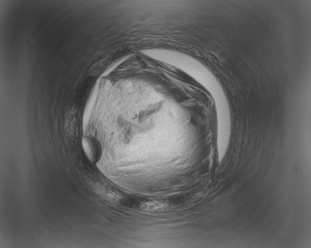 X0000082950511200702222317