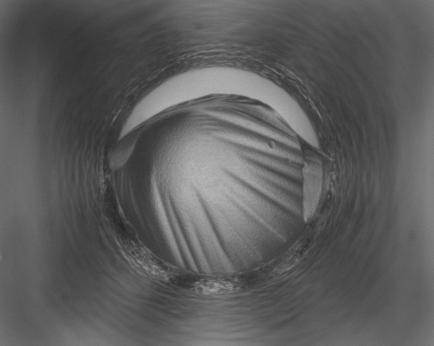 X0000082950512200702222317