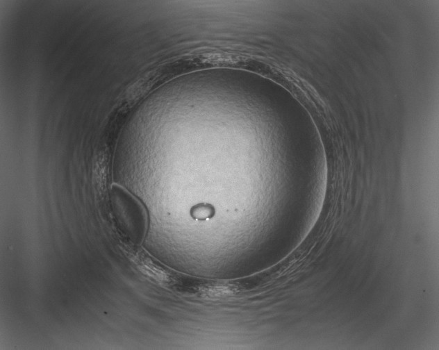 X0000082950513200702222317