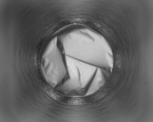 X0000082950514200702222317