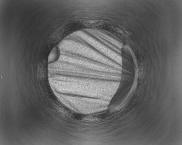 X0000082950515200702222317