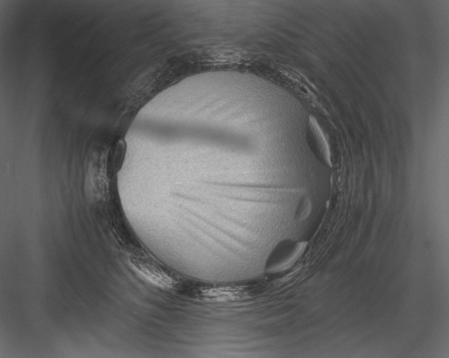 X0000082950516200702222317