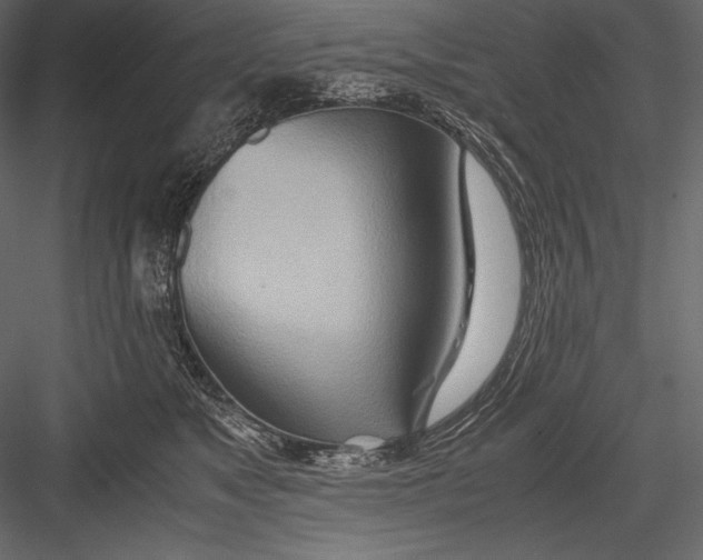 X0000082950517200702222317