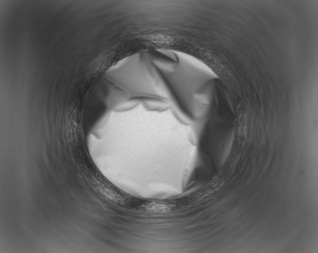 X0000082950518200702222317