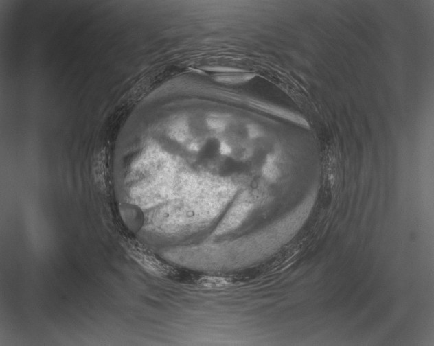 X0000082950519200702222317