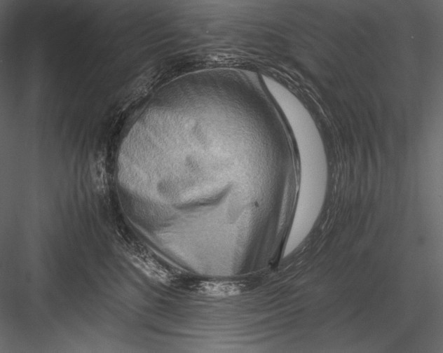 X0000082950520200702222317