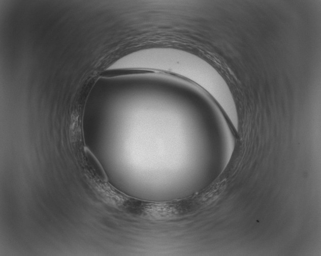 X0000082950521200702222317