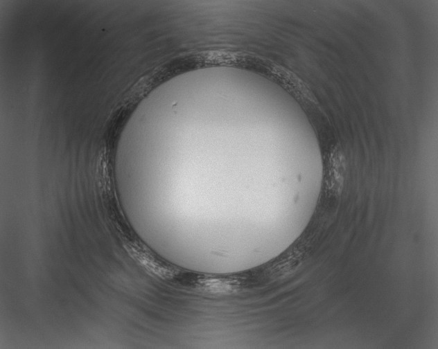 X0000082950522200702222317