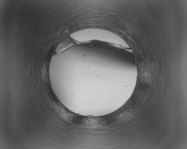 X0000082950523200702222317