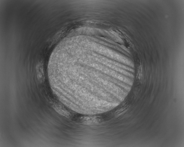 X0000082950524200702222317