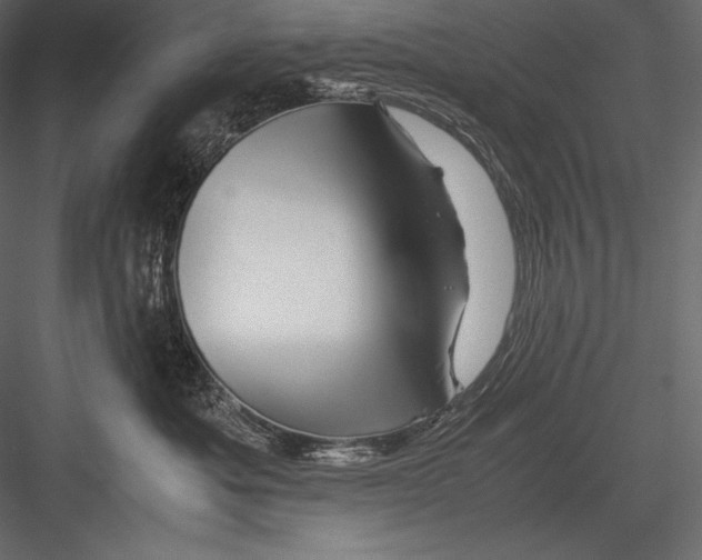 X0000082950525200702222317