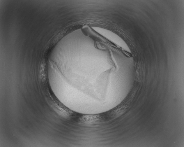 X0000082950526200702222317