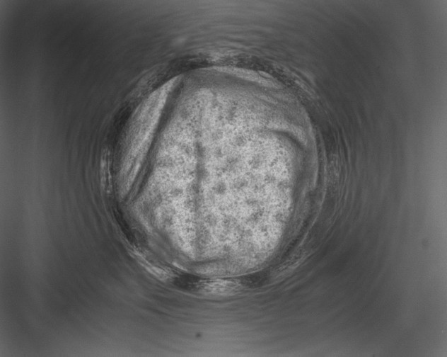 X0000082950527200702222317