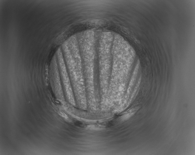 X0000082950528200702222317