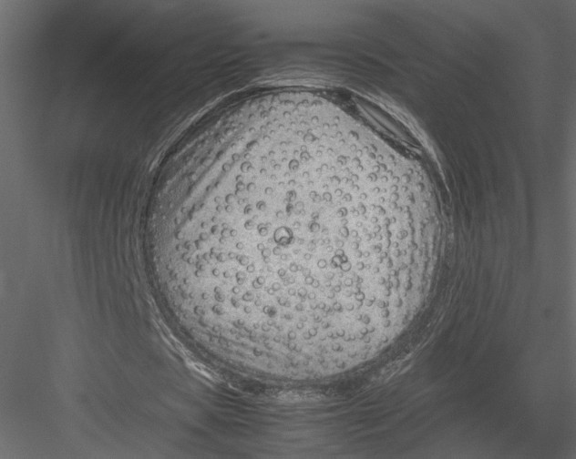 X0000082950529200702222316