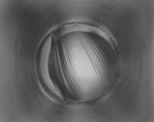 X0000082950530200702222316