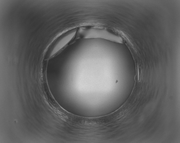 X0000082950531200702222316