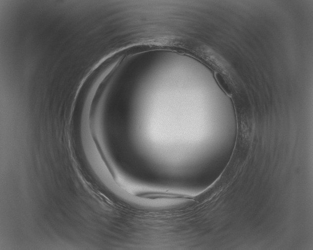 X0000082950532200702222316