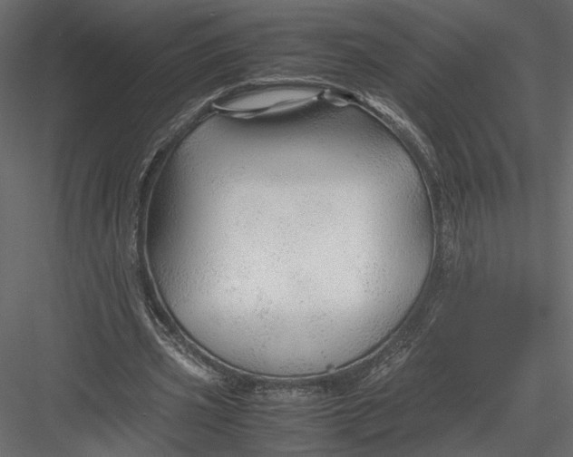 X0000082950533200702222316