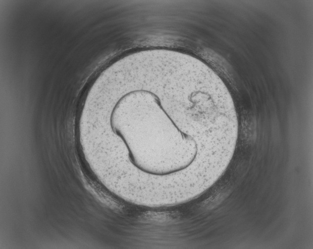 X0000082950534200702222316