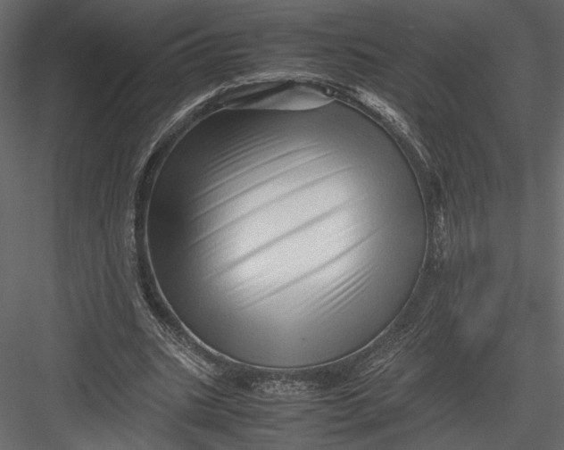 X0000082950535200702222316