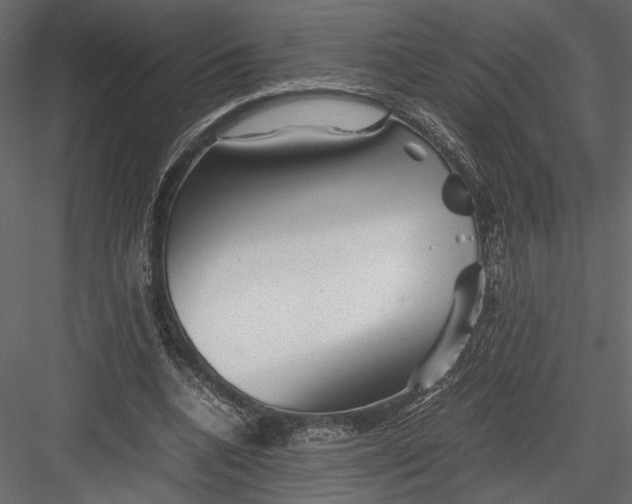 X0000082950536200702222316